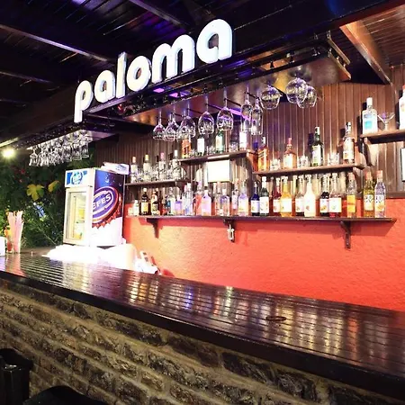 Paloma 2*