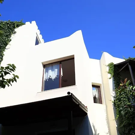 Paloma Hotel