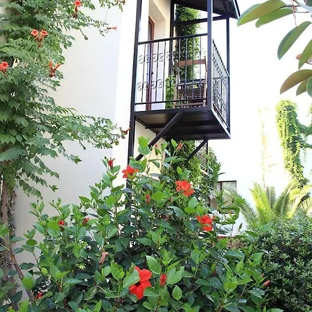 Hotel Paloma 2*
