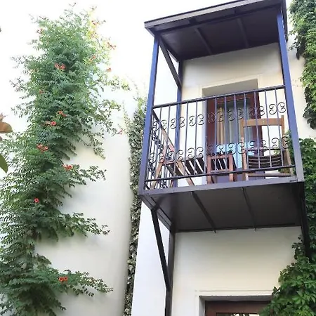 Paloma 2* ボドルム