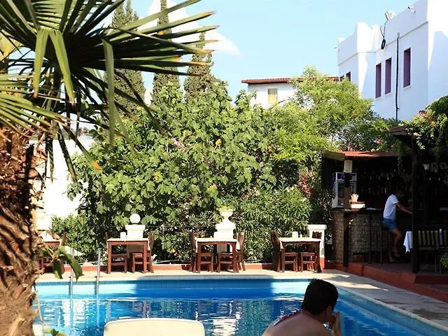 Hotel Paloma 2*